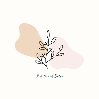 Pollution & Detox